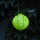 LED Lampion Hellgrün